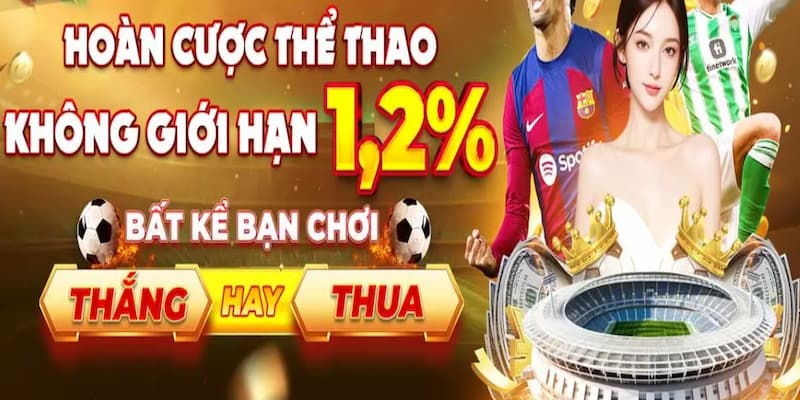 Net88 cược thể thao hoàn trả 1.25%. Lợi ích khi tham gia chương trình hoàn trả 1.25%